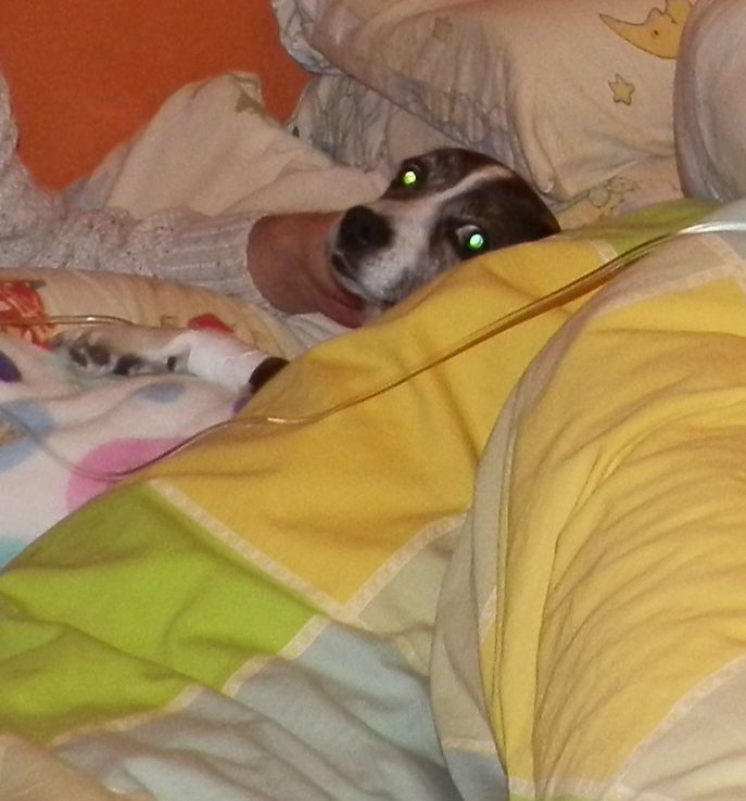 2015-03-11%20PRZED%20OPERACJ%2001_zpsaeu