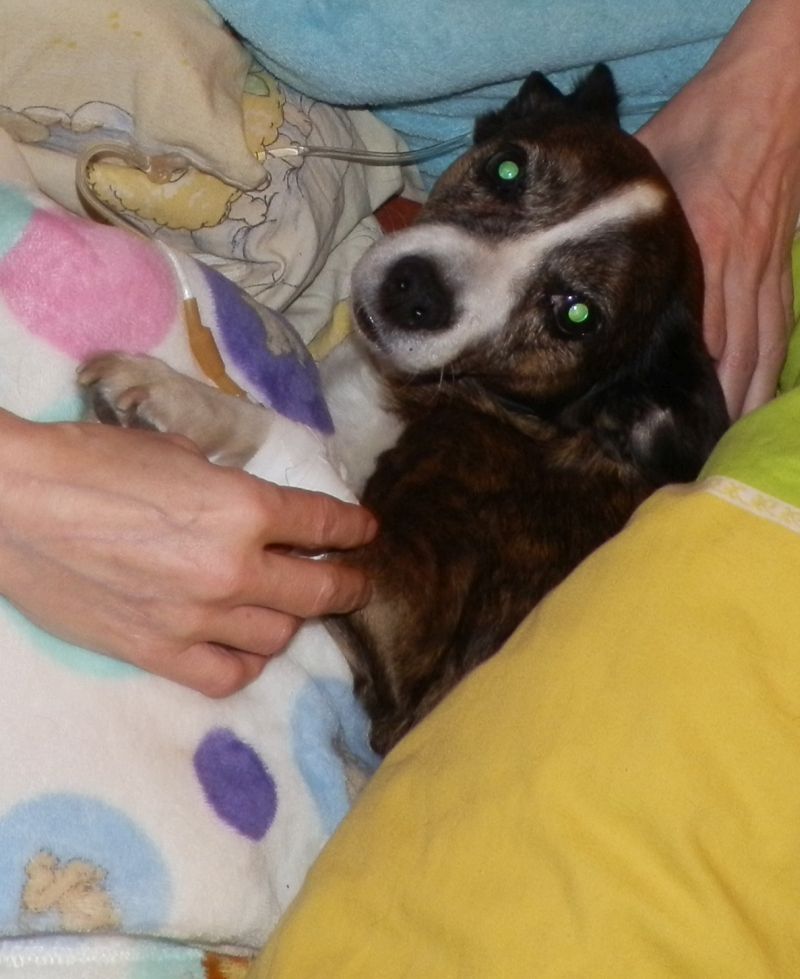 2015-03-11%20PRZED%20OPERACJ%2013_zpsm6g