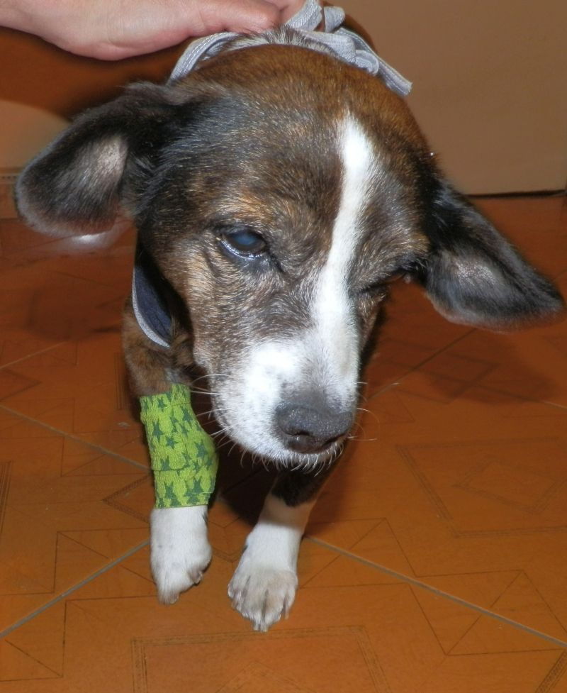 2015-03-11%20PRZED%20OPERACJ%2017_zpsvlm