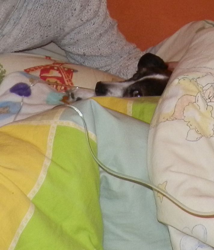 2015-03-11%20PRZED%20OPERACJ%202_zpspzfv