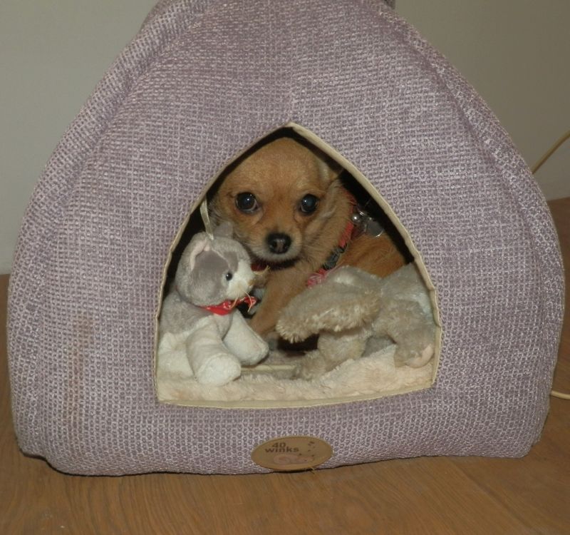 2015-09-21%20U%20DZINKA%2013_zpspy4ipd3n