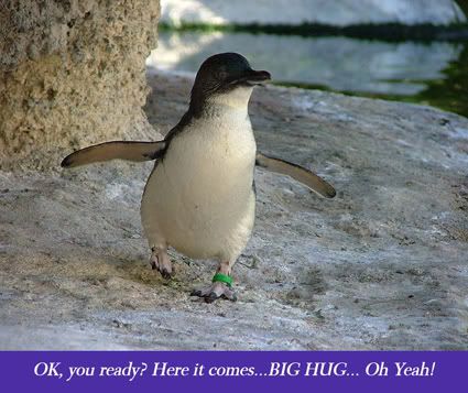 fairy_penguin_hug-1.jpg picture by Quill_bucket