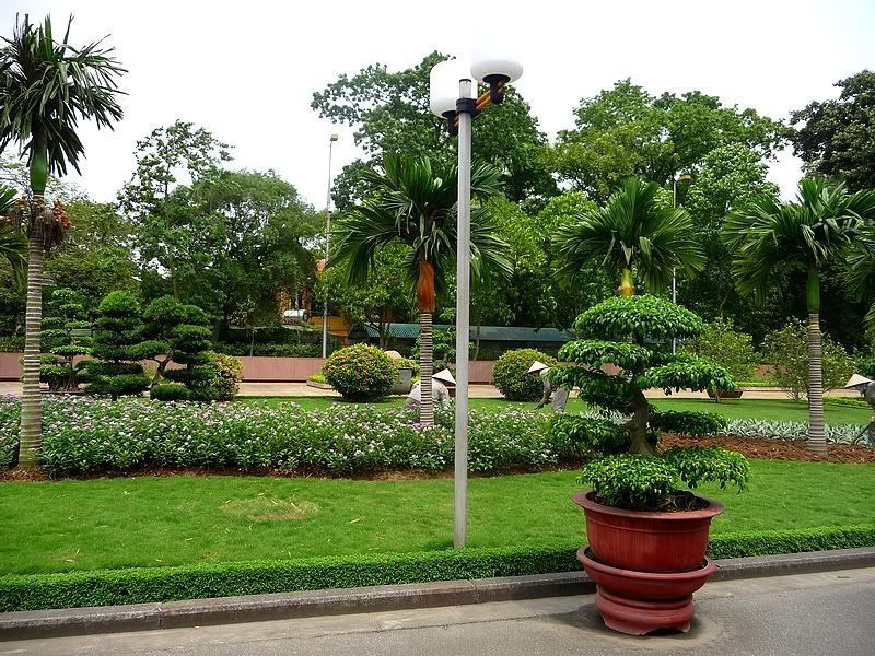 P1080552.jpg picture by trankathykd