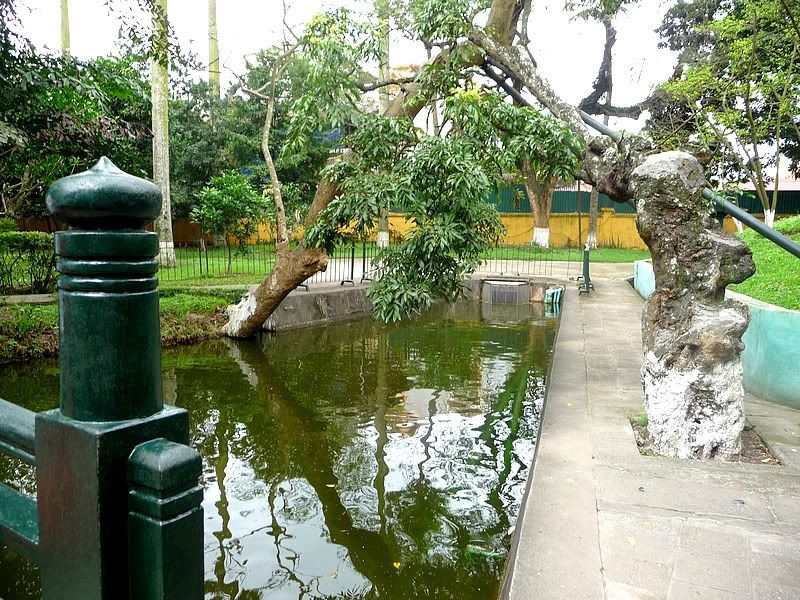 P1080606.jpg picture by trankathykd