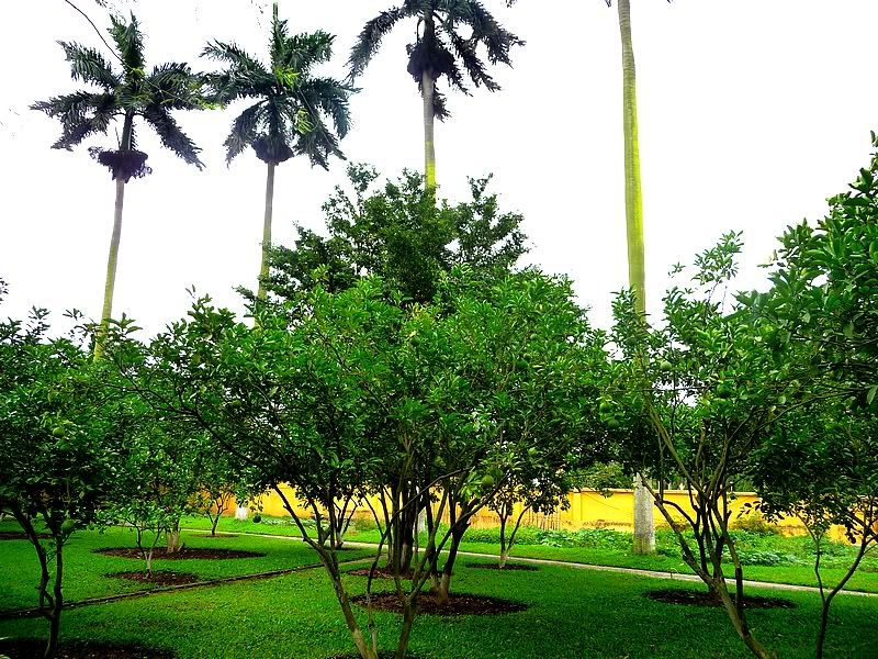 P1080612.jpg picture by trankathykd