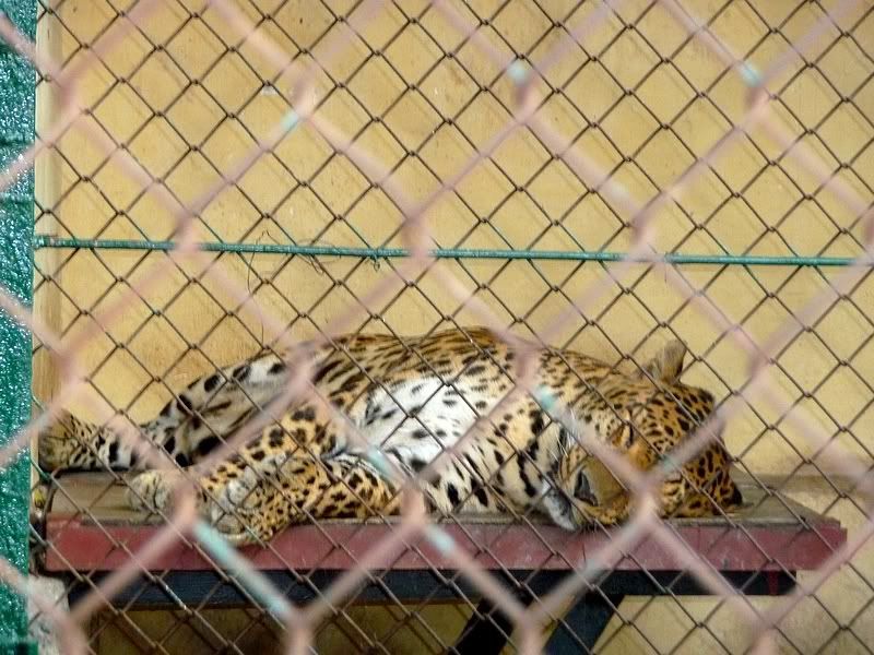 P1080663.jpg picture by trankathykd