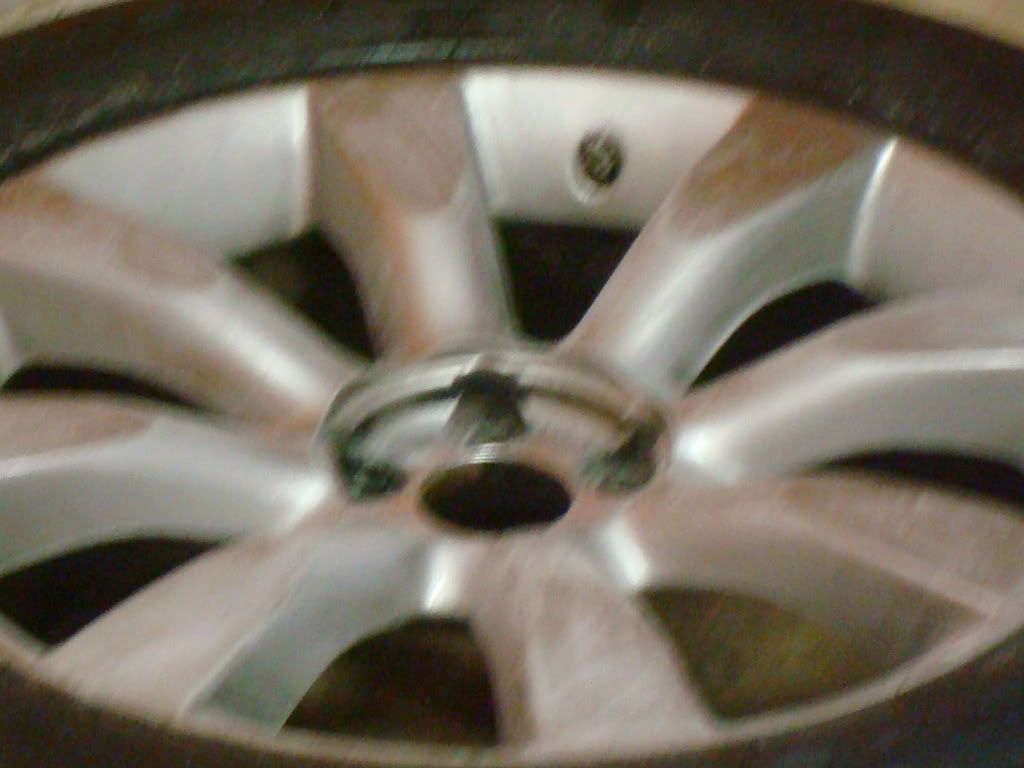 DSC07236.jpg