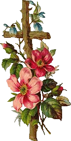 16.png picture by viumor22