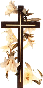 24.png picture by viumor22