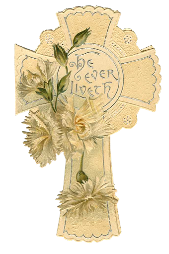 29.png picture by viumor22