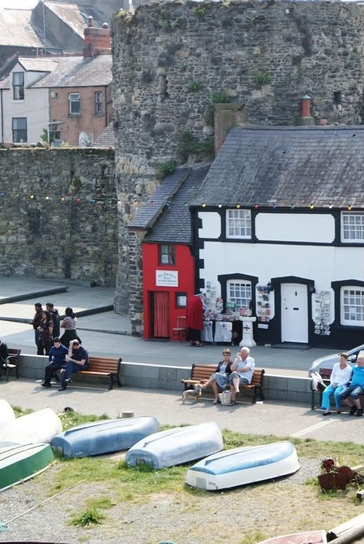 Conwy11