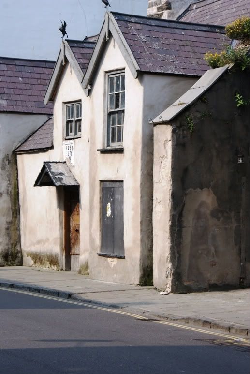 Conwy19