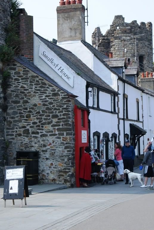Conwy3