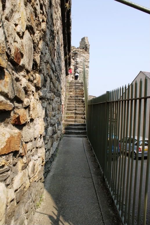 Conwy7